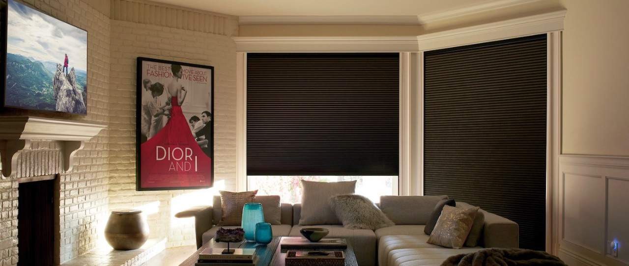 Best Window Treatments for Media Rooms, Hunter Douglas Duette® Honeycomb Shades near Cape Coral, Florida (FL)